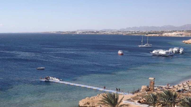 Melia Sinai 5* - хороший вариант для зимнего отдыха