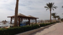Melia Sinai 5* - хороший вариант для зимнего отдыха