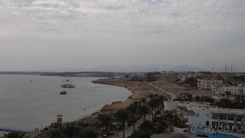 Melia Sinai 5* - хороший вариант для зимнего отдыха