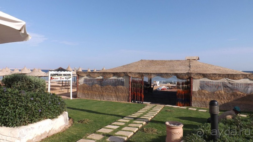 Melia Sinai 5* - хороший вариант для зимнего отдыха