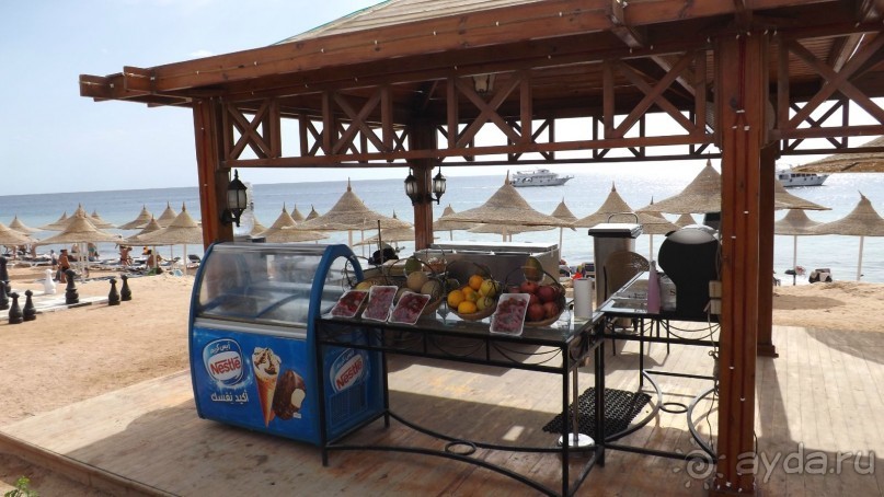 Melia Sinai 5* - хороший вариант для зимнего отдыха