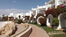 Melia Sinai 5* - хороший вариант для зимнего отдыха