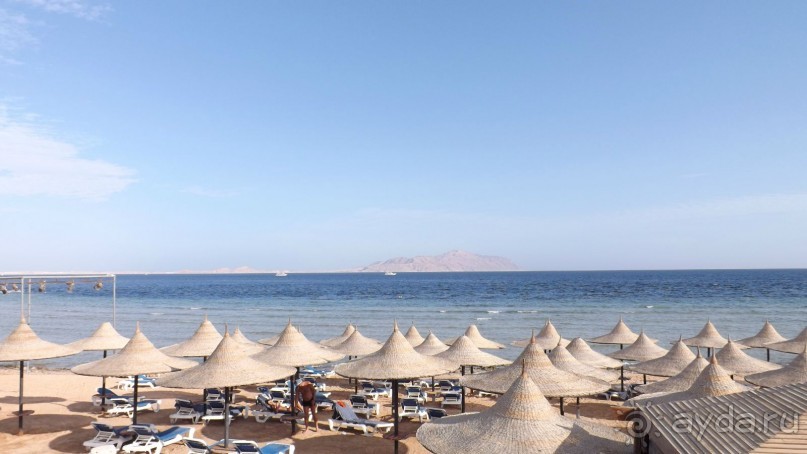 Melia Sinai 5* - хороший вариант для зимнего отдыха