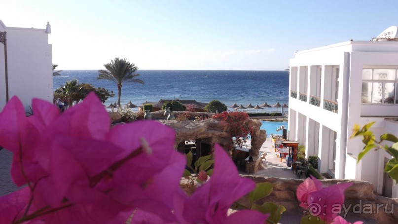 Melia Sinai 5* - хороший вариант для зимнего отдыха