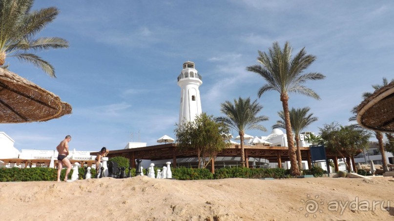 Melia Sinai 5* - хороший вариант для зимнего отдыха