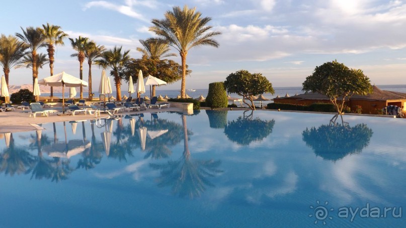 Melia Sinai 5* - хороший вариант для зимнего отдыха