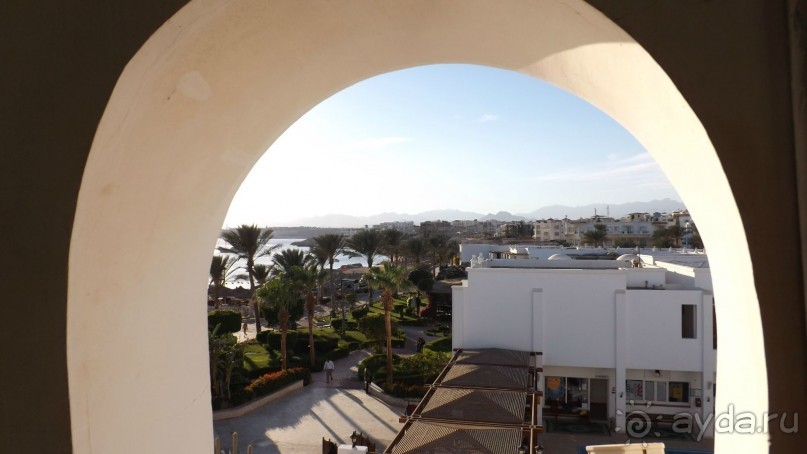 Melia Sinai 5* - хороший вариант для зимнего отдыха