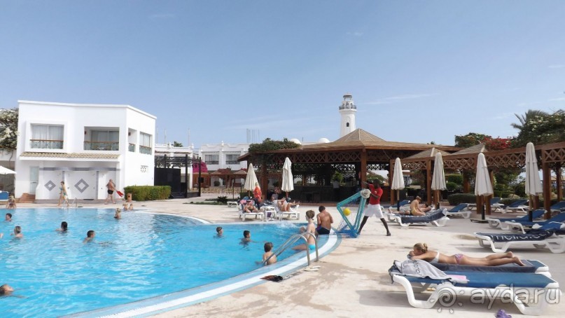 Melia Sinai 5* - хороший вариант для зимнего отдыха