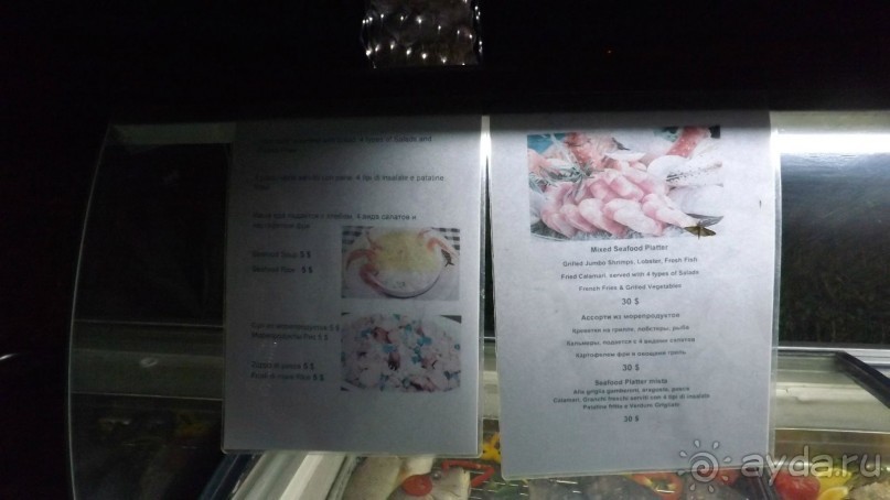 Melia Sinai 5* - хороший вариант для зимнего отдыха