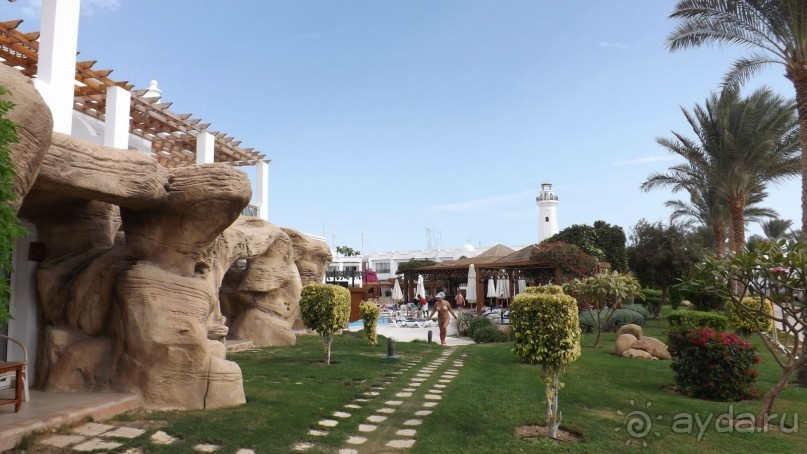 Melia Sinai 5* - хороший вариант для зимнего отдыха