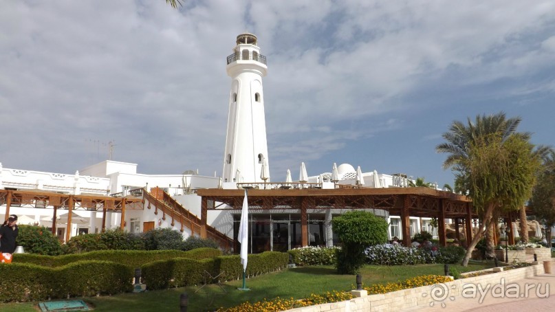 Melia Sinai 5* - хороший вариант для зимнего отдыха