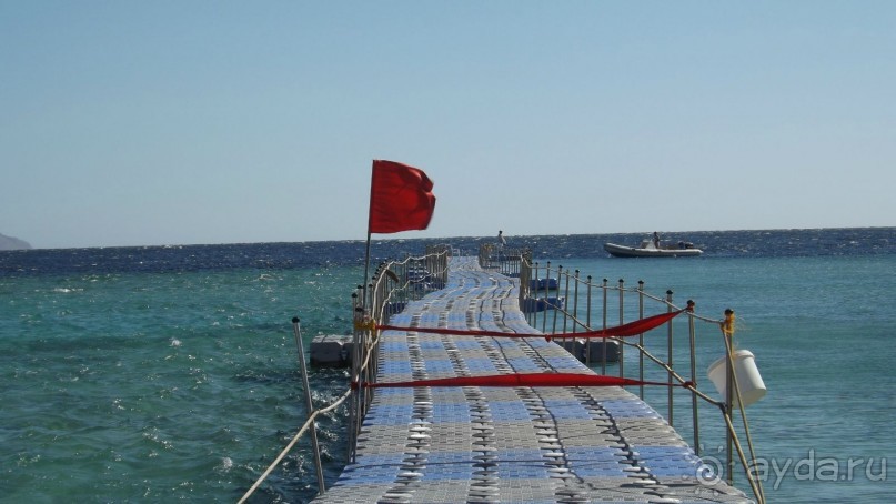 Melia Sinai 5* - хороший вариант для зимнего отдыха