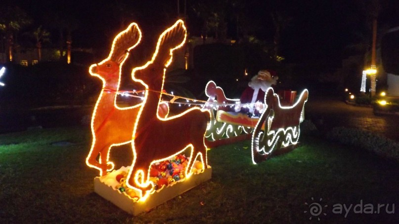 Melia Sinai 5* - хороший вариант для зимнего отдыха