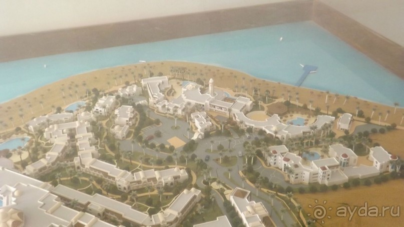 Melia Sinai 5* - хороший вариант для зимнего отдыха