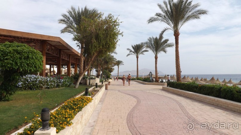 Melia Sinai 5* - хороший вариант для зимнего отдыха