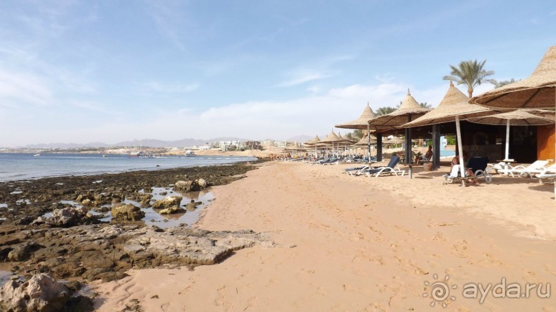 Melia Sinai 5* - хороший вариант для зимнего отдыха