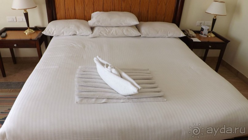 Melia Sinai 5* - хороший вариант для зимнего отдыха