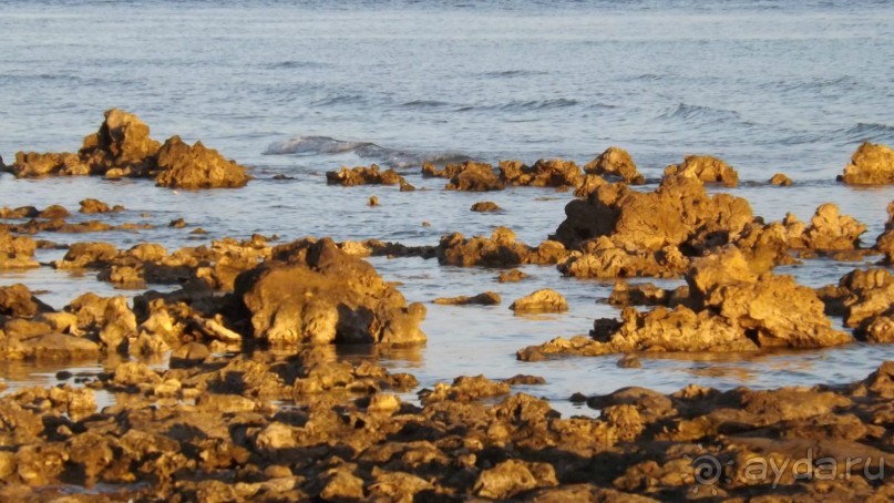 Melia Sinai 5* - хороший вариант для зимнего отдыха