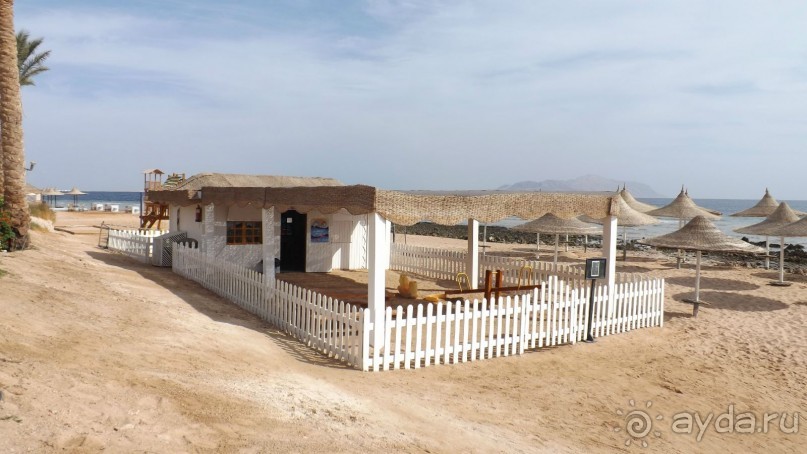 Melia Sinai 5* - хороший вариант для зимнего отдыха