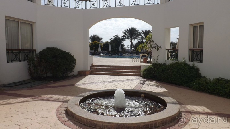 Melia Sinai 5* - хороший вариант для зимнего отдыха