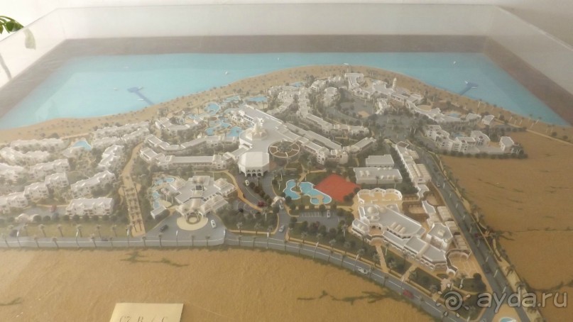 Melia Sinai 5* - хороший вариант для зимнего отдыха