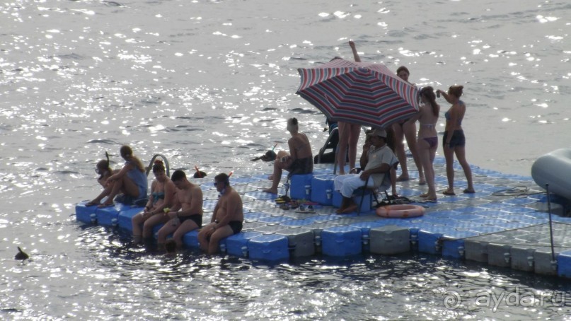 Melia Sinai 5* - хороший вариант для зимнего отдыха