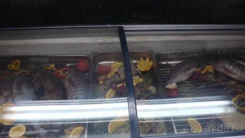 Melia Sinai 5* - хороший вариант для зимнего отдыха