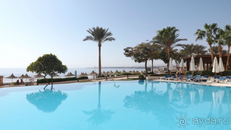 Melia Sinai 5* - хороший вариант для зимнего отдыха