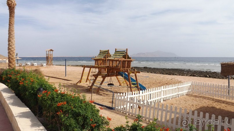 Melia Sinai 5* - хороший вариант для зимнего отдыха