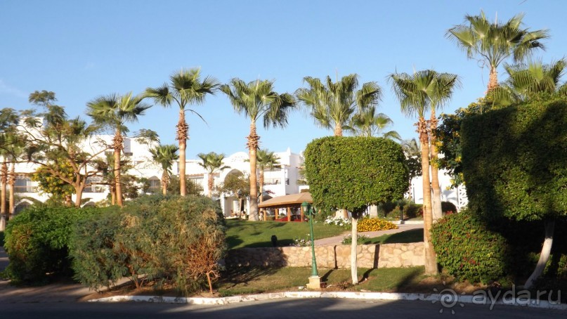 фото Melton Beach Resort 