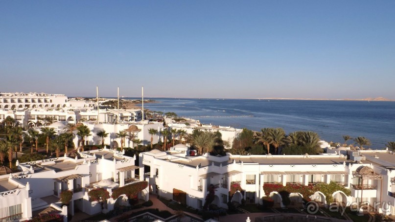 Melia Sinai 5* - хороший вариант для зимнего отдыха