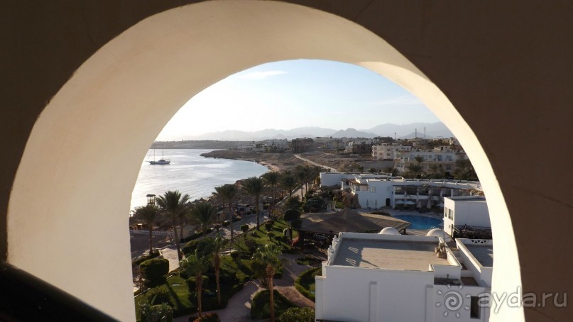 Melia Sinai 5* - хороший вариант для зимнего отдыха