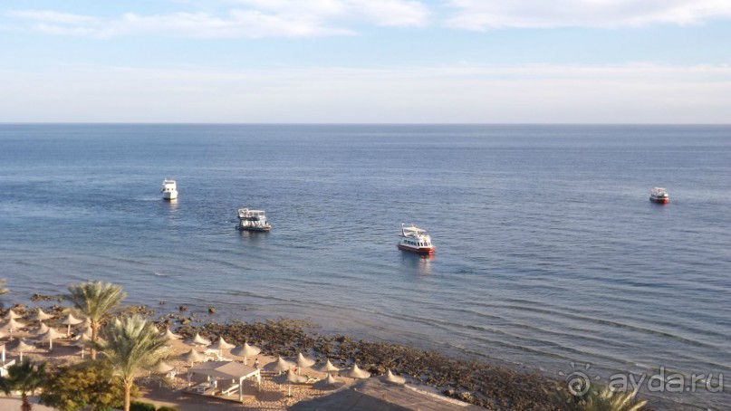 Melia Sinai 5* - хороший вариант для зимнего отдыха