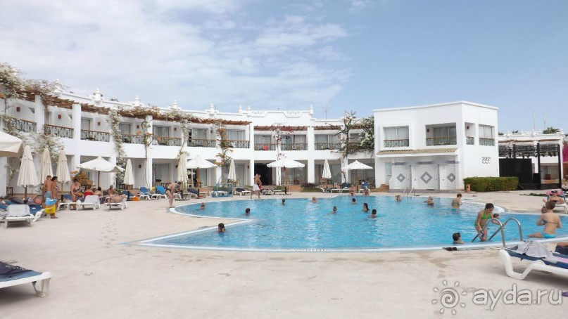 Melia Sinai 5* - хороший вариант для зимнего отдыха