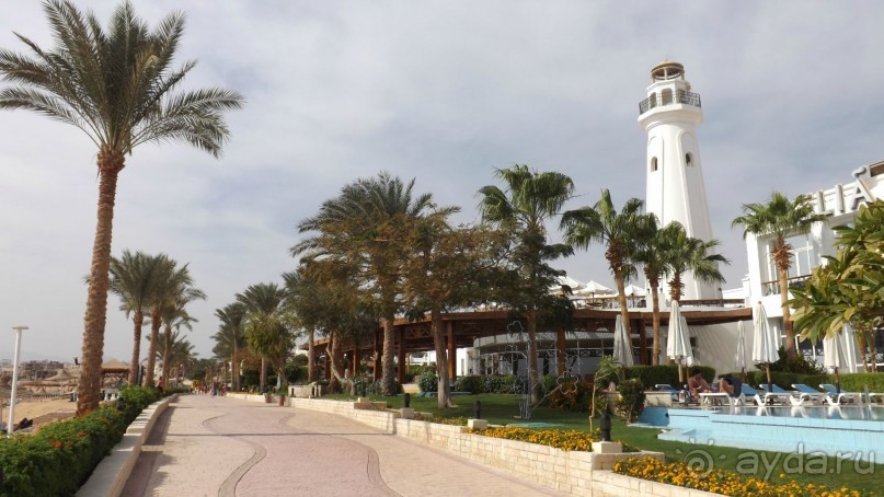 Melia Sinai 5* - хороший вариант для зимнего отдыха