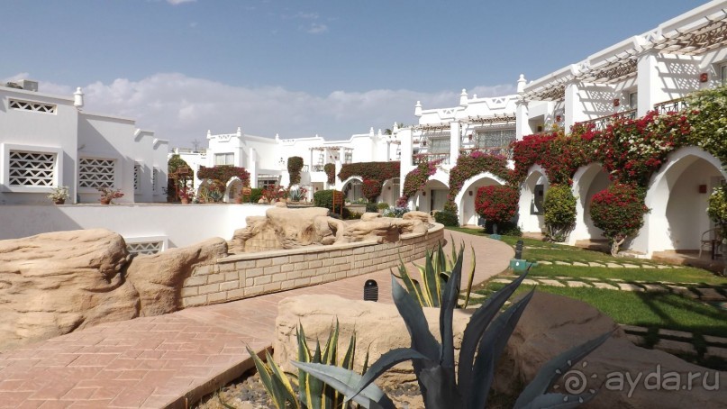 Melia Sinai 5* - хороший вариант для зимнего отдыха