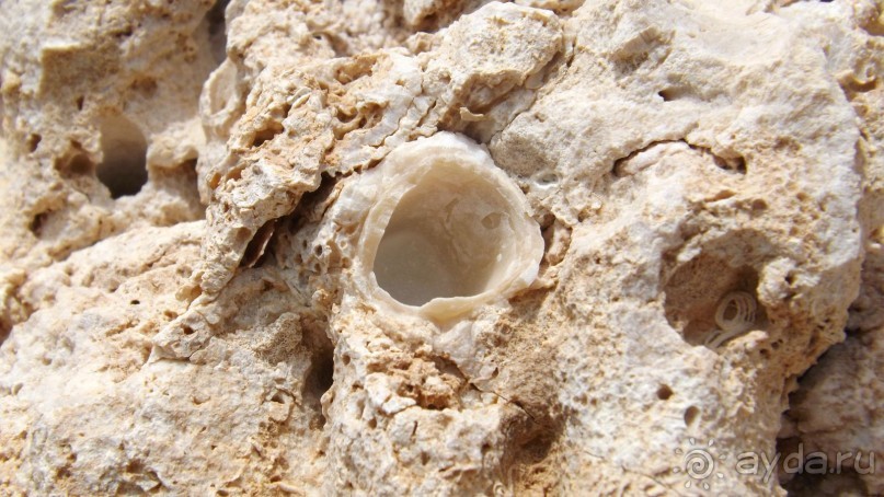 Melia Sinai 5* - хороший вариант для зимнего отдыха