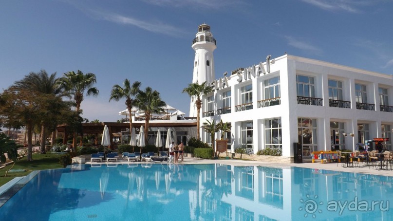 Melia Sinai 5* - хороший вариант для зимнего отдыха
