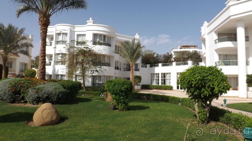 Melia Sinai 5* - хороший вариант для зимнего отдыха