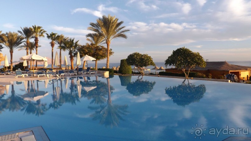 Melia Sinai 5* - хороший вариант для зимнего отдыха