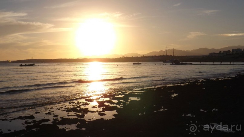 Melia Sinai 5* - хороший вариант для зимнего отдыха