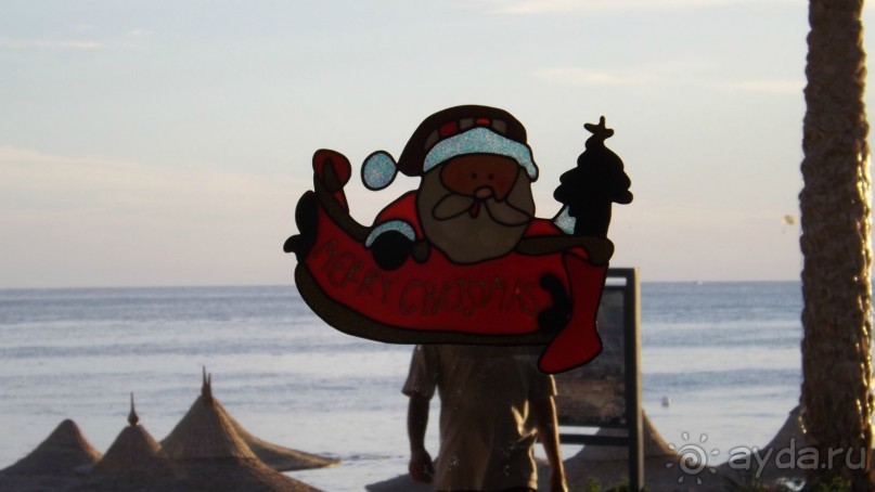 Melia Sinai 5* - хороший вариант для зимнего отдыха