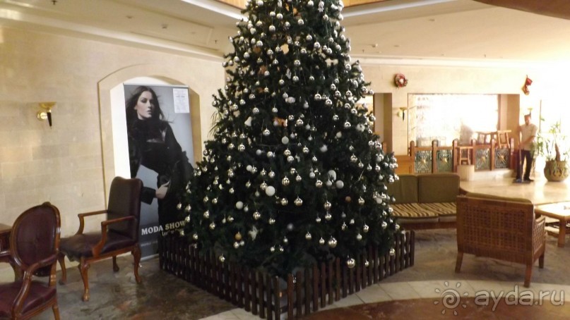 Melia Sinai 5* - хороший вариант для зимнего отдыха