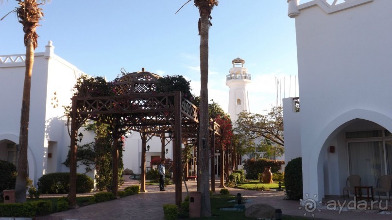 Melia Sinai 5* - хороший вариант для зимнего отдыха