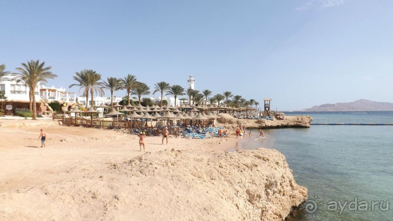 Melia Sinai 5* - хороший вариант для зимнего отдыха