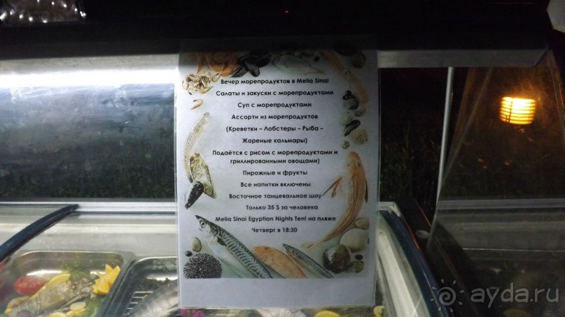 Melia Sinai 5* - хороший вариант для зимнего отдыха