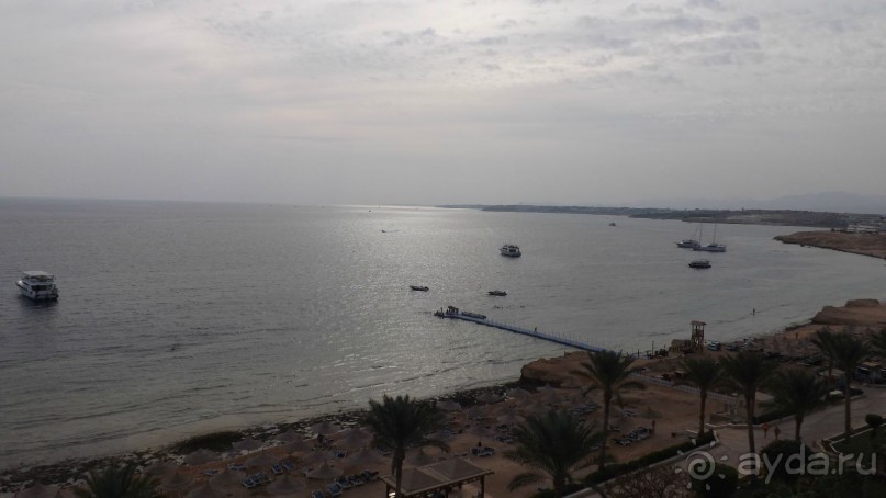 Melia Sinai 5* - хороший вариант для зимнего отдыха