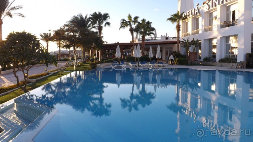 Melia Sinai 5* - хороший вариант для зимнего отдыха