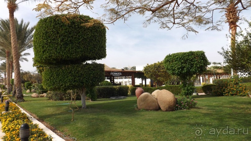 Melia Sinai 5* - хороший вариант для зимнего отдыха