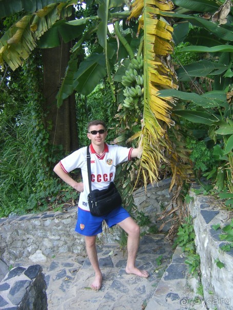 Райский уголок в пяти минутах от тайской экзотики